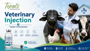 Veterinary injection manufacturer in India