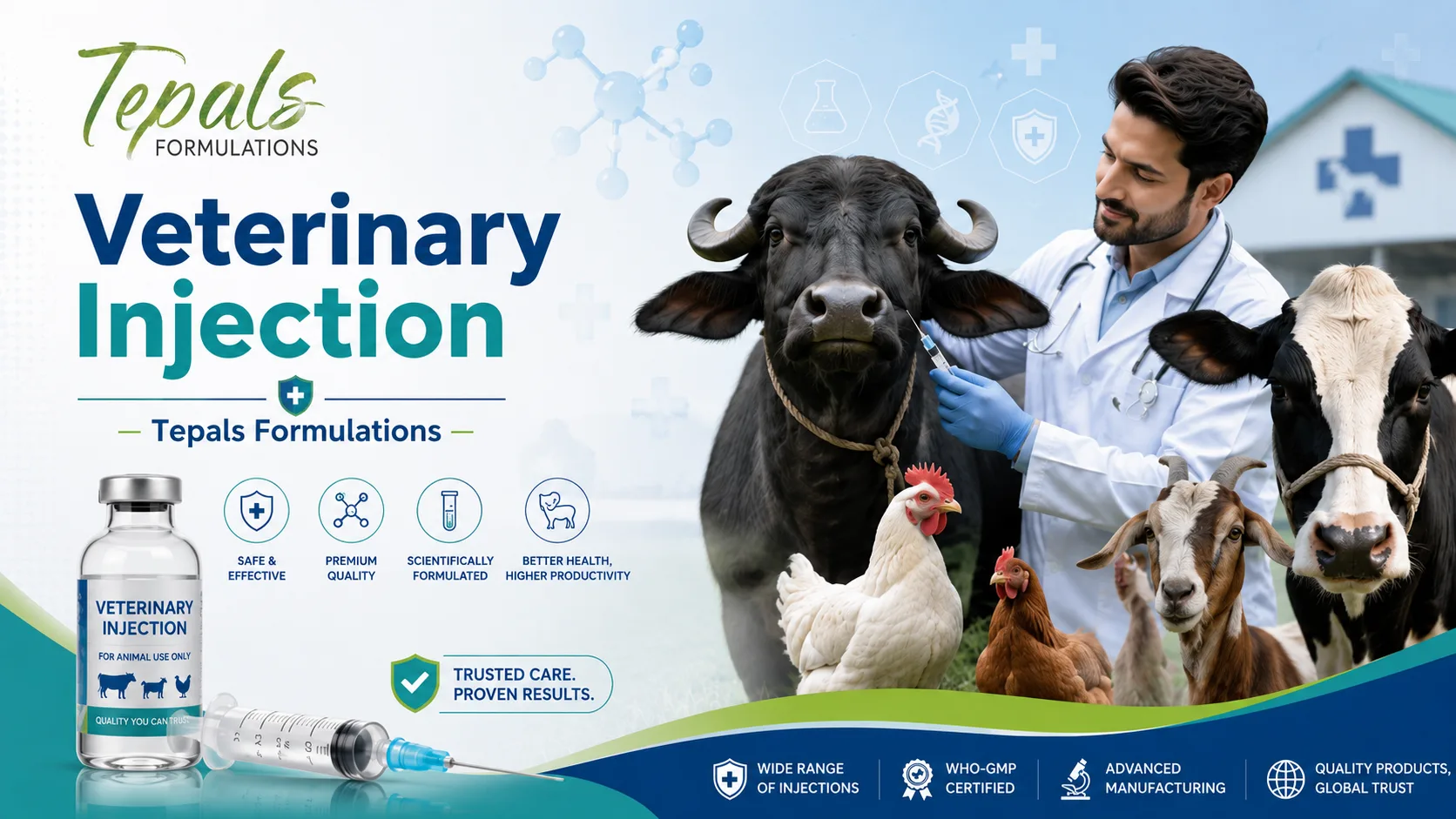 Veterinary injection manufacturer in India
