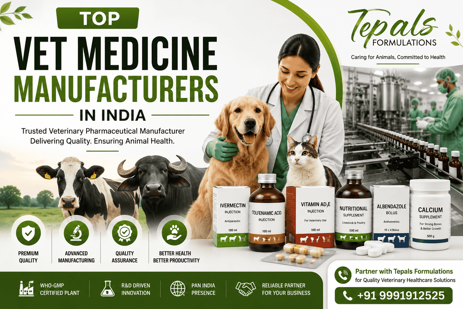 vet medicine manufacturer