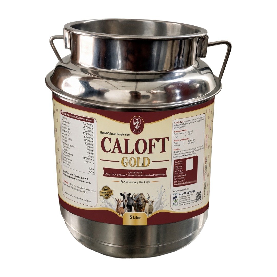 Caloft Gold 5 litre veterinary product