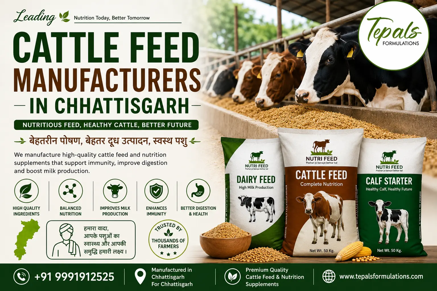 cattle feed manufacturers in Chhattisgarh