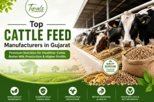 Top Cattle Feed Manufacturers in Gujarat